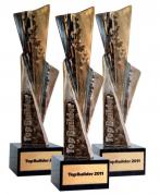 Weber potr�jnym laureatem nagrody Top Builder